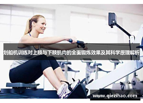 划船机训练对上肢与下肢肌肉的全面锻炼效果及其科学原理解析