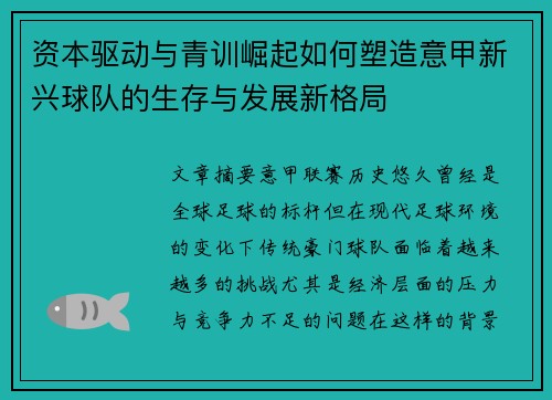 资本驱动与青训崛起如何塑造意甲新兴球队的生存与发展新格局