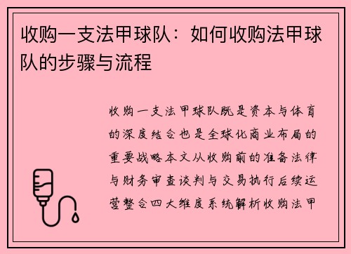 收购一支法甲球队：如何收购法甲球队的步骤与流程