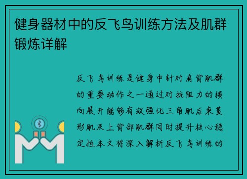健身器材中的反飞鸟训练方法及肌群锻炼详解