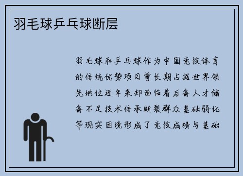 羽毛球乒乓球断层